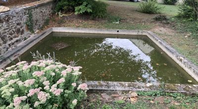 Transformation bassin agrément en piscine - Patrick Ceschin